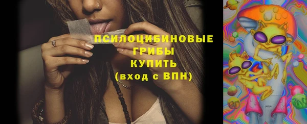 spice Арсеньев