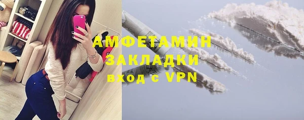 шишки Пестово