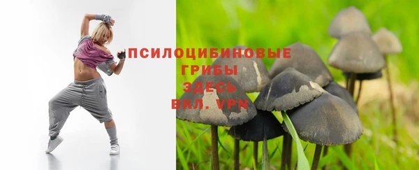 тгк Армянск