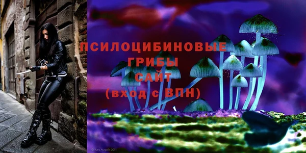 тгк Армянск