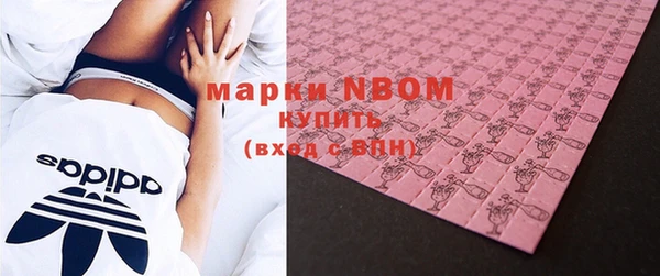 шишки Пестово