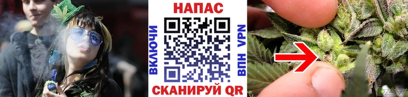 OMG как зайти  Грязи  Шишки марихуана Bruce Banner 